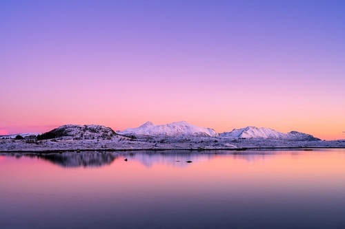 Snowy mountains, sea bay, reflection in water at sunset in winter. Lofoten islands, Norway. Colorful landscape with rocks in snow, pink sky at twilight. Seashore at dusk. Nature background. Scenery