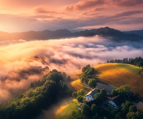 Aerial view of alpine meadows and mountains in low clouds at golden sunrise in summer. Top drone view of hills with green grass, trees in fog, house, colorful sky in Slovenia. Nature. Mountain valley