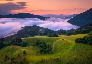 Aerial view of alpine meadows and mountains in low purple clouds at sunrise in summer. Top drone view of hills with green grass and trees in fog, colorful red sky in Slovenia. Nature. Mountain valley