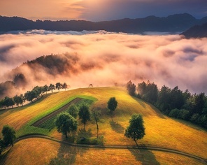 Aerial view of alpine meadows and mountains in low clouds at golden sunrise in summer. Top drone view of hills with green grass, trees in fog, house, colorful sky in Slovenia. Nature. Mountain valley