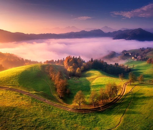 Aerial view of alpine meadows and mountains in low pink clouds at colorful sunrise in summer. Top drone view of hills with green grass and trees in fog, orange sky. Alps in Slovenia at dawn. Nature