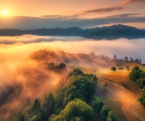 Aerial view of alpine meadows and mountains in low clouds at colorful sunrise in summer. Top drone view of hills with green grass and trees in fog, sky. Alps in Slovenia at dawn. Nature background