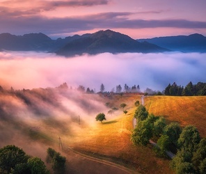 Aerial view of alpine meadows and mountains in low clouds at colorful sunrise in summer. Top drone view of hills with green grass and trees in fog, sky. Alps in Slovenia at dawn. Nature background