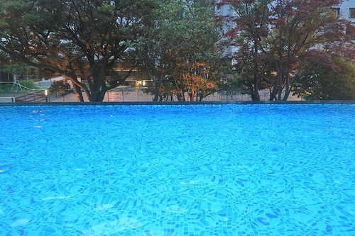 호텔 수영장