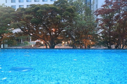 호텔 수영장