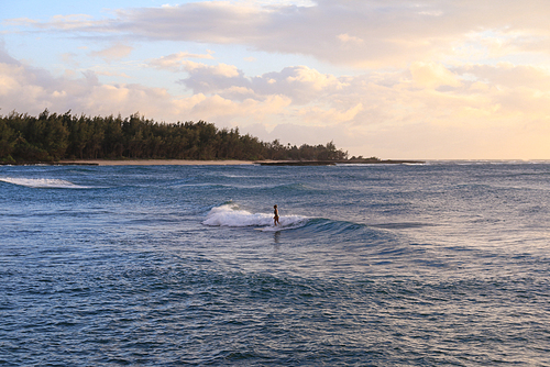 하와이 바다에서 파도타기(서핑) 하는 사람들
