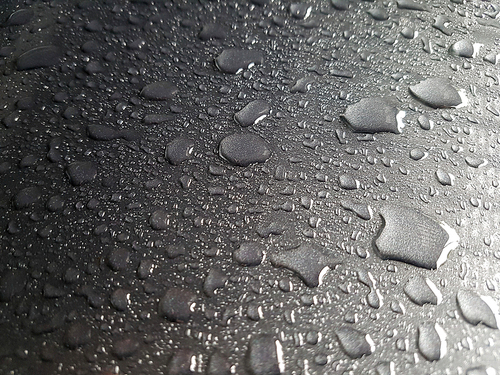 비오는 날 자동차 본닛위의 떨어진 물방울들