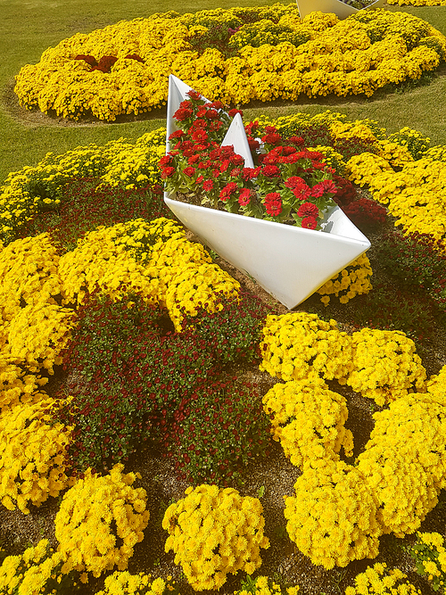 가을의 아름다운 국화꽃들과 하얀 조각 배