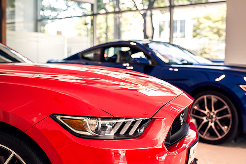 자동차 매장에 전시되어 있는 빨간색 자동차와 파란색 자동차