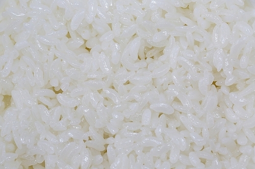 하얀쌀밥