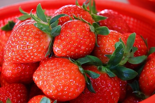 맛있는 딸기