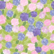 Vector Seamless Pattern with Hydrangea Flowers, Petals and Leaves on Green Background