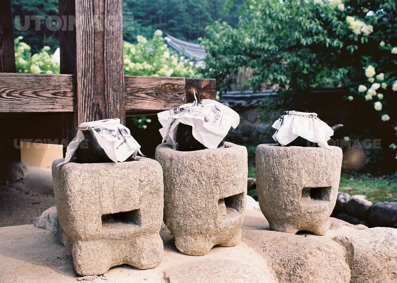 프리진 - 스톡 이미지, 사진, 일러스트, 벡터, 웹디자인. 이미지 사이트