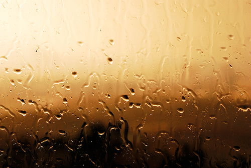 비오는 날,  해질무렵의 창밖으로 비는 내리고, 유리창에 부딪치며 흐르는 빗물은 어쩌면 내 눈물일까?