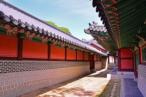 한국의 옛 고건축의 전통적인 아름다움의 절정을 보여주는 창경궁의 궁궐의 기와집들과 누각들