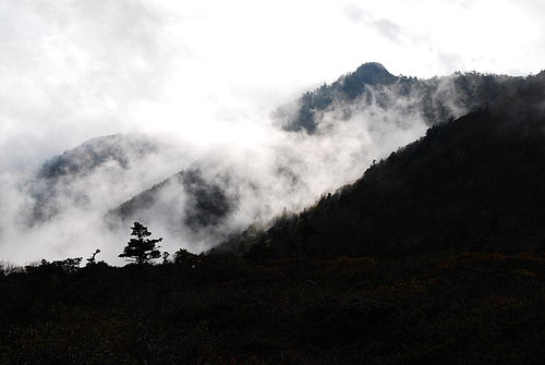 대한민국 단풍 제 1경, 설악산 국립공원의 주능선과 대청봉 주변의 찬란하고 화려한 아름다운 단풍든 모습들