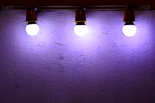 빈티지한 분위기의 보라색 전구조명들이 하나둘씩 밤을 밝히고있는 어느 카페의 벽면 장식