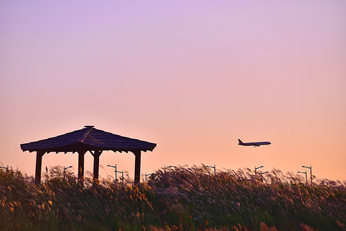 노을빛이 아름다운 공항근처의 갈대밭과 원두막을 배경으로 이륙중인 항공기