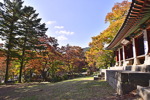 유네스코 세계문화유산으로 등재된 남한산성내의 조선시대 병사훈련장이었던 연무관의 아름다운 단청과 단풍숲
