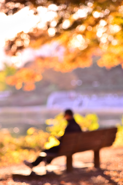 유토이미지 | 화려하게 깊어가는 가을의 공원, 호숫가의 나무벤치에 우두커니 홀로 앉아 생각에 잠겨있는 외로운 남자 한명의 실루엣