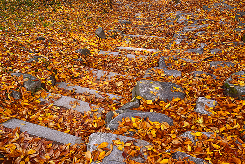 KH211116 | 유토이미지 검색 결과