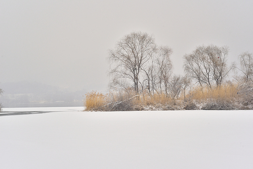 눈내린날의 겨울강변 풍경