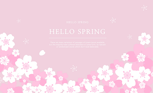 Hello spring 7