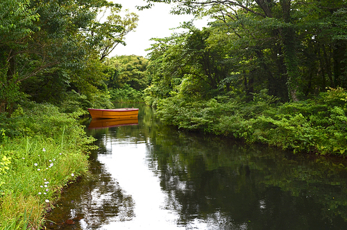 숲속 물 위에 떠 있는 나룻배