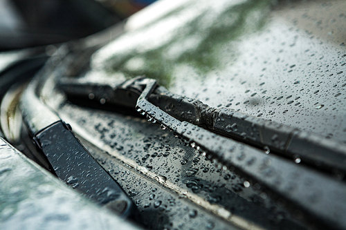 비오는 날 작동중인 자동차 와이퍼/ 물방울이 돋보이는 자동차 와이퍼 클로즈업