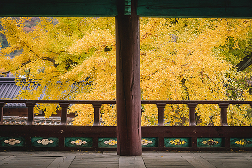 아름다운 한국의 가을