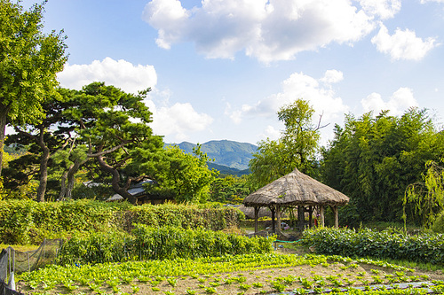 한국의 초가집 원두막 풍경