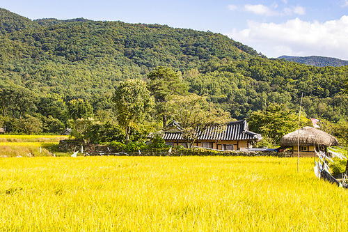 한국의 전통 민속 마을 가을 풍경
