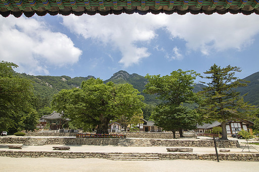 한국 내소사 풍경