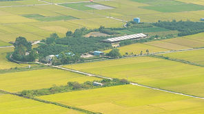 경주 남산 금오정에서 보이는 시골의 푸른 논밭 풍경