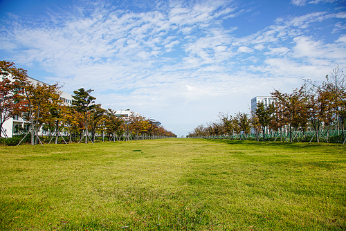 넓은 푸른 잔디밭 양옆으로 단풍든 나무들 길 사이로 멀리 보이는 바다 풍경
