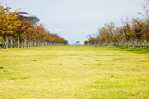 넓은 푸른 잔디밭 양옆으로 단풍든 나무들 길 사이로 보이는 바다 풍경
