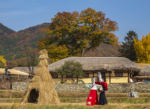 가을 농촌 마을 풍경