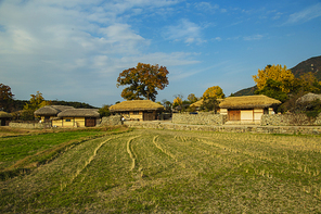 가을 농촌 마을 풍경