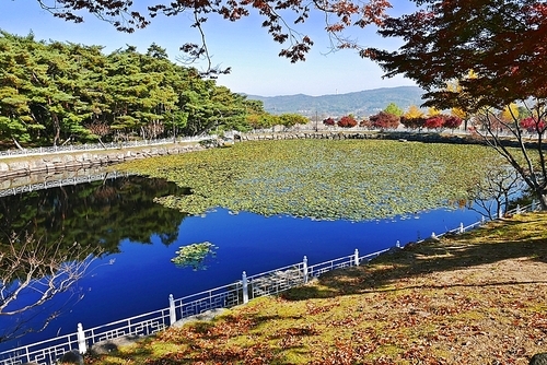 경주 통일전의 아름다운 정자와 연못 풍경