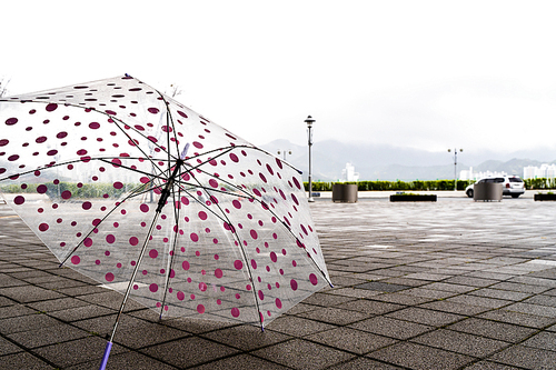 비오는 날 버려진 비닐 우산과 야외 풍경