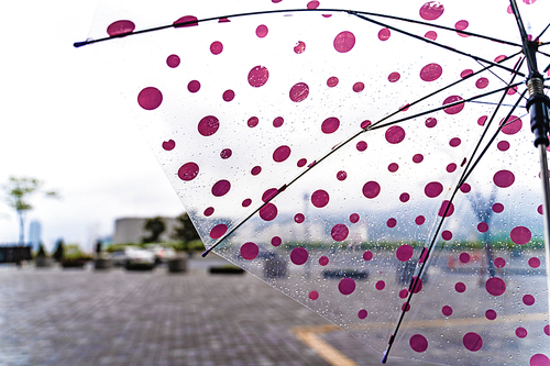 비오는 날 비닐 우산과 야외 풍경