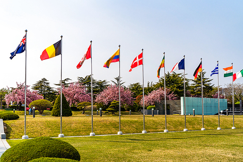 벚꽃이 만발한 유엔기념공원의 참전국의 깃발들