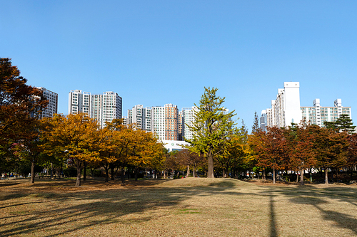 계절이 바뀌는 도시의 가을 풍경