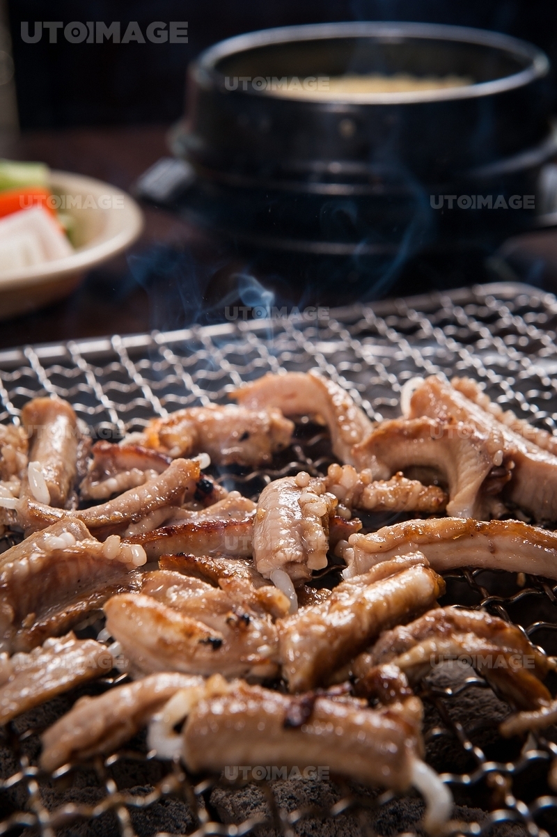 프리진 - 스톡 이미지, 사진, 일러스트, 벡터, 웹디자인. 이미지 사이트