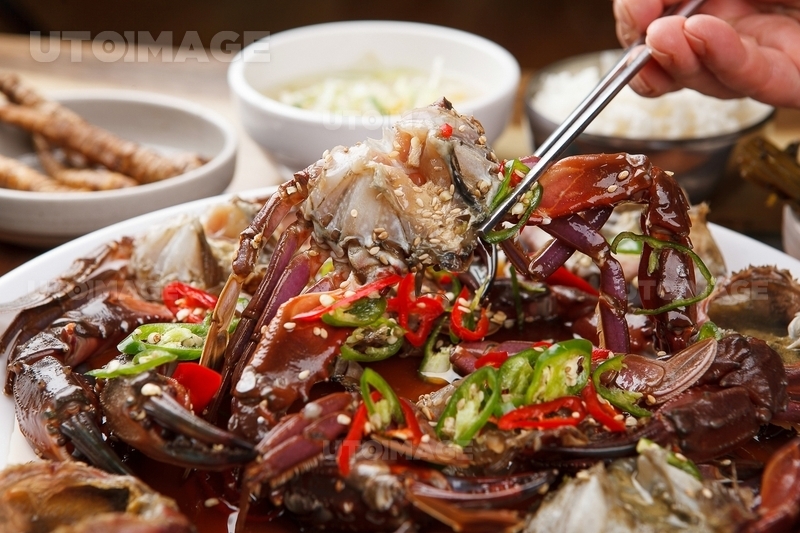 프리진 - 스톡 이미지, 사진, 일러스트, 벡터, 웹디자인. 이미지 사이트