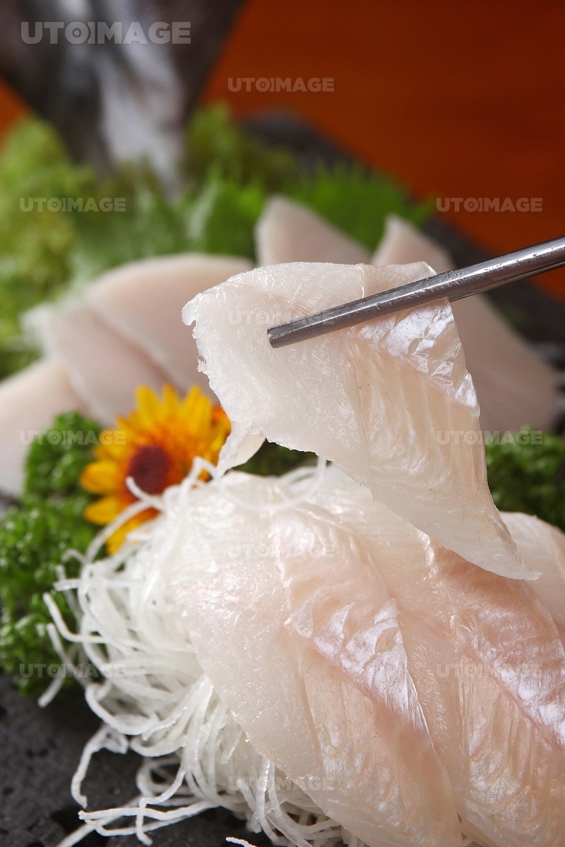 프리진 - 스톡 이미지, 사진, 일러스트, 벡터, 웹디자인. 이미지 사이트