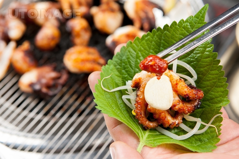프리진 - 스톡 이미지, 사진, 일러스트, 벡터, 웹디자인. 이미지 사이트