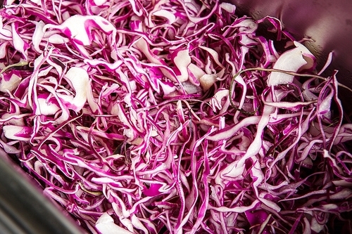 MST_154 | 유토이미지 검색 결과