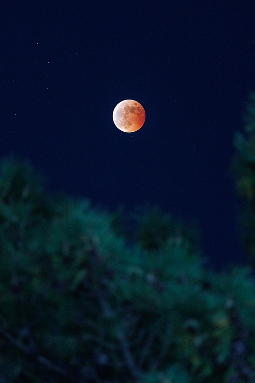 밤하늘 개기일식 붉은 달