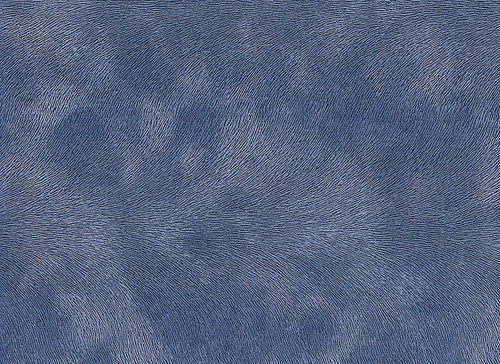 동물의 털 무늬가 있는 파란색 배경 종이
